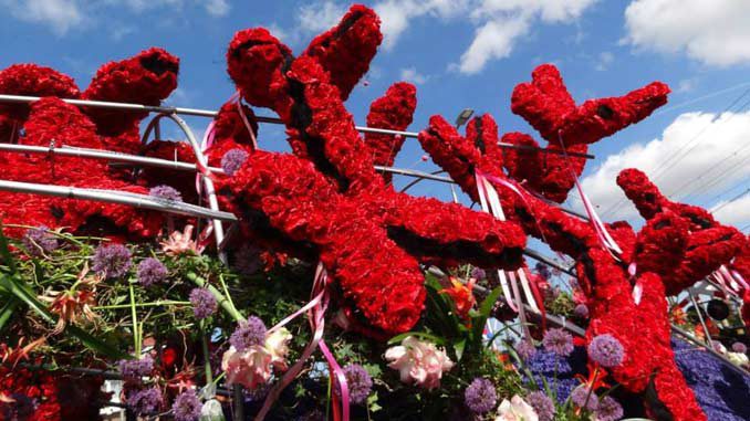 bloemencorso-laura-steinberga