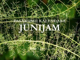 Kalendars junijam